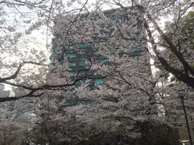 内堀通りを挟んで（右側にちらっと見えているビルの１Fに東京MXテレビ）