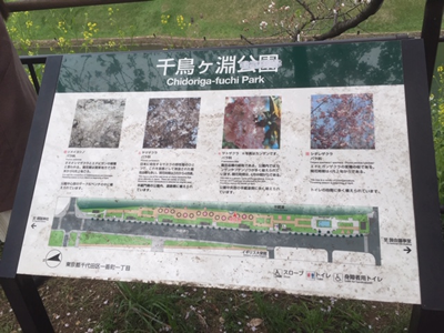 千鳥ヶ淵公園案内図