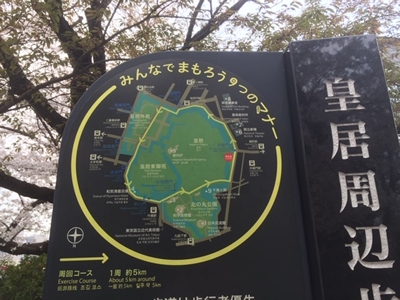 皇居ランナーも多いですね。1周約5kmのコースです。