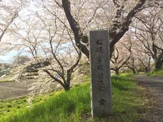 日本さくらの会より