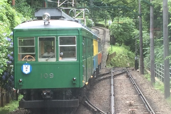 あじさい電車でスイッチバック体験にかまぼこ作り体験、うなぎと温泉