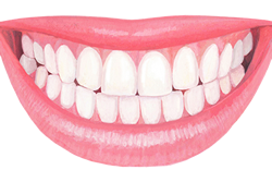 口腔ケアは正しい歯磨きから