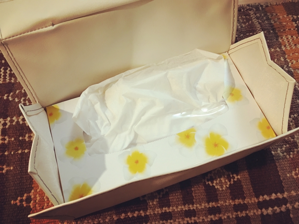 f:id:ladybird_eye:20180511111829j:plain f:id:ladybird_eye:20180511111829j:plain