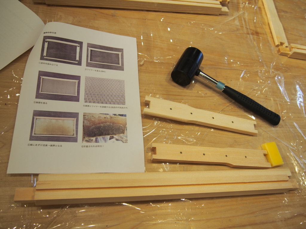 f:id:ladybug-noriko:20171031115728j:plain