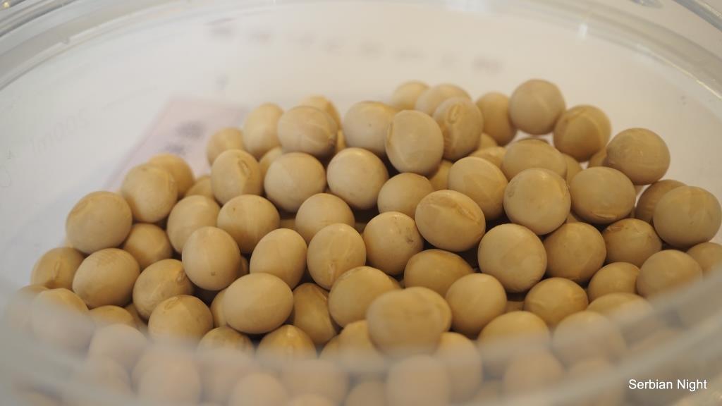 f:id:ladybug-noriko:20180414205551j:plain