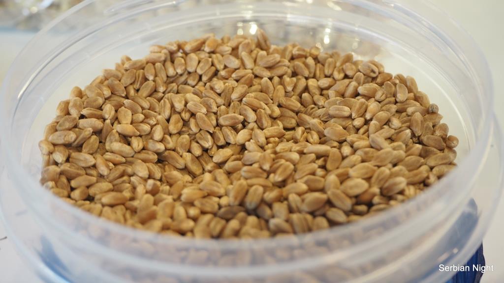 f:id:ladybug-noriko:20180414205608j:plain