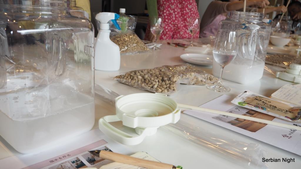 f:id:ladybug-noriko:20180414210342j:plain