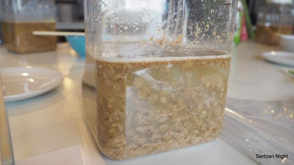 f:id:ladybug-noriko:20180414210809j:plain