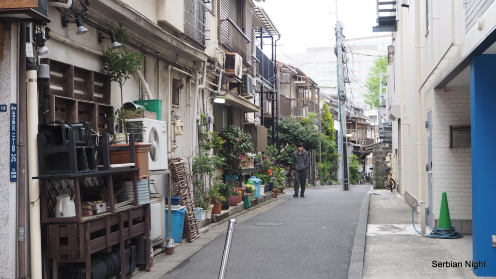 f:id:ladybug-noriko:20180416141918j:plain
