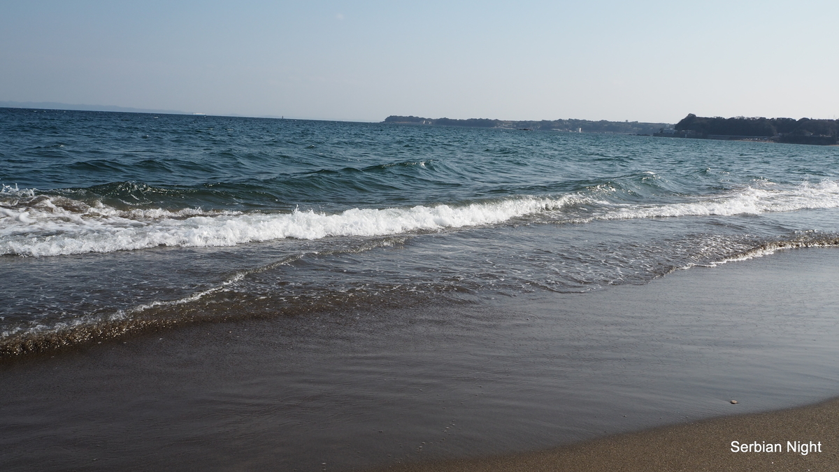 f:id:ladybug-noriko:20190324222452j:plain f:id:ladybug-noriko:20190324222452j:plain