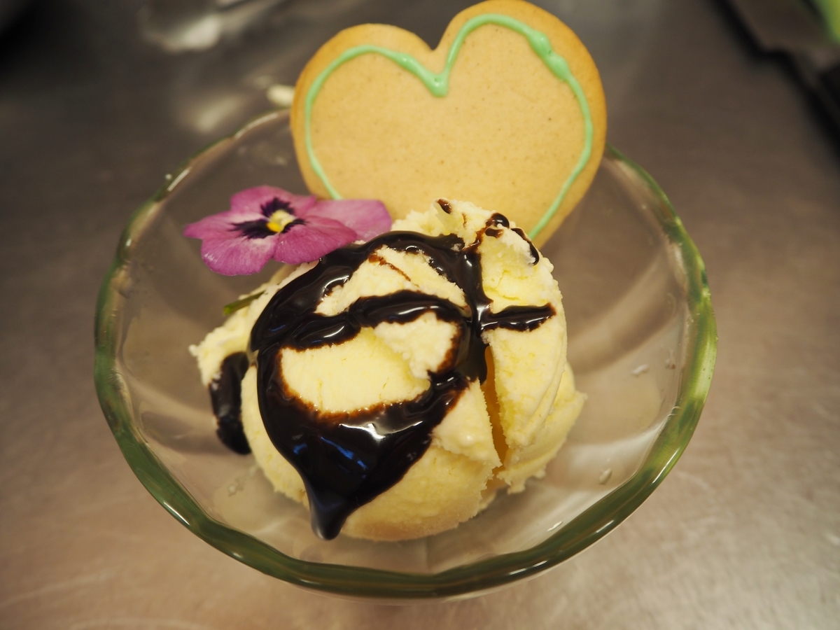 f:id:ladybug-noriko:20210204141742j:plain