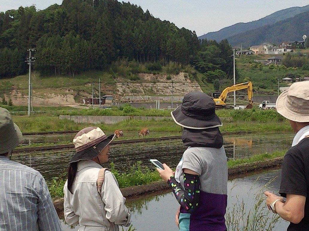 f:id:ladybug-noriko:20210205153720j:plain