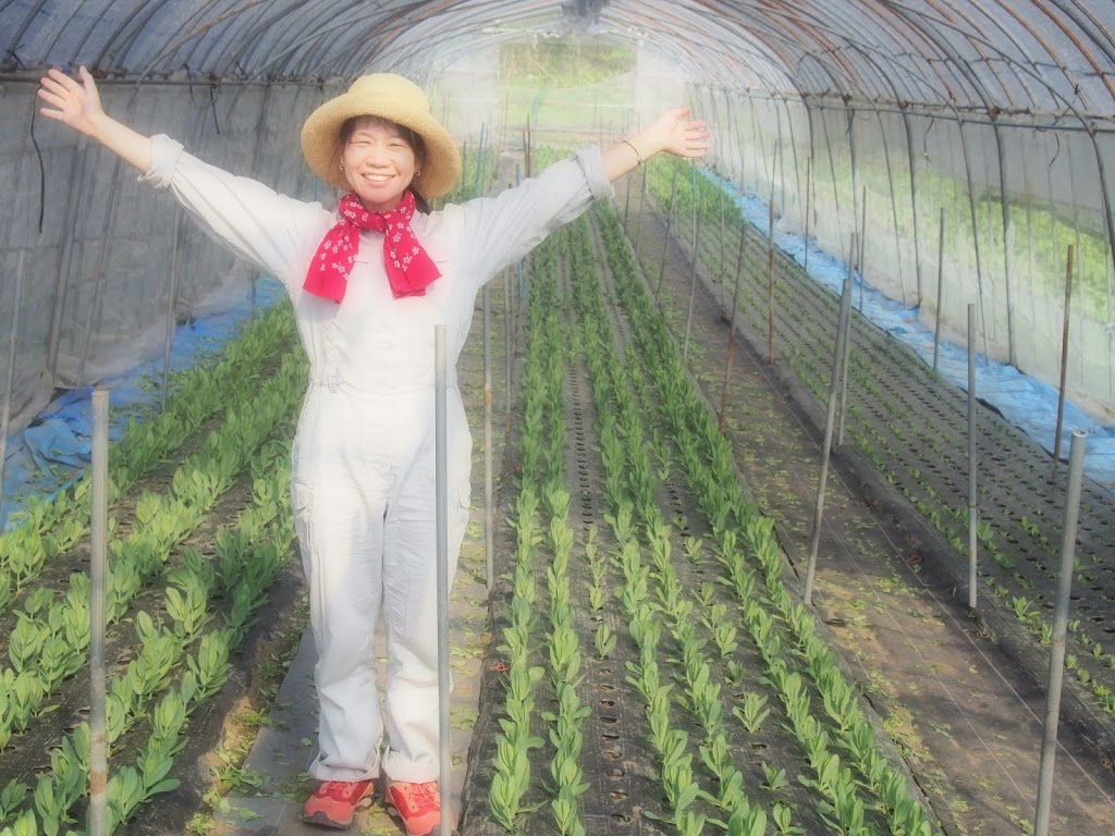 f:id:ladybug-noriko:20210206111834j:plain