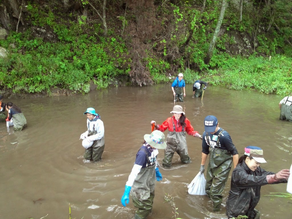 f:id:ladybug-noriko:20210206112751j:plain