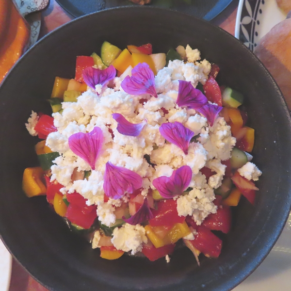 f:id:ladybug-noriko:20210531141323j:plain