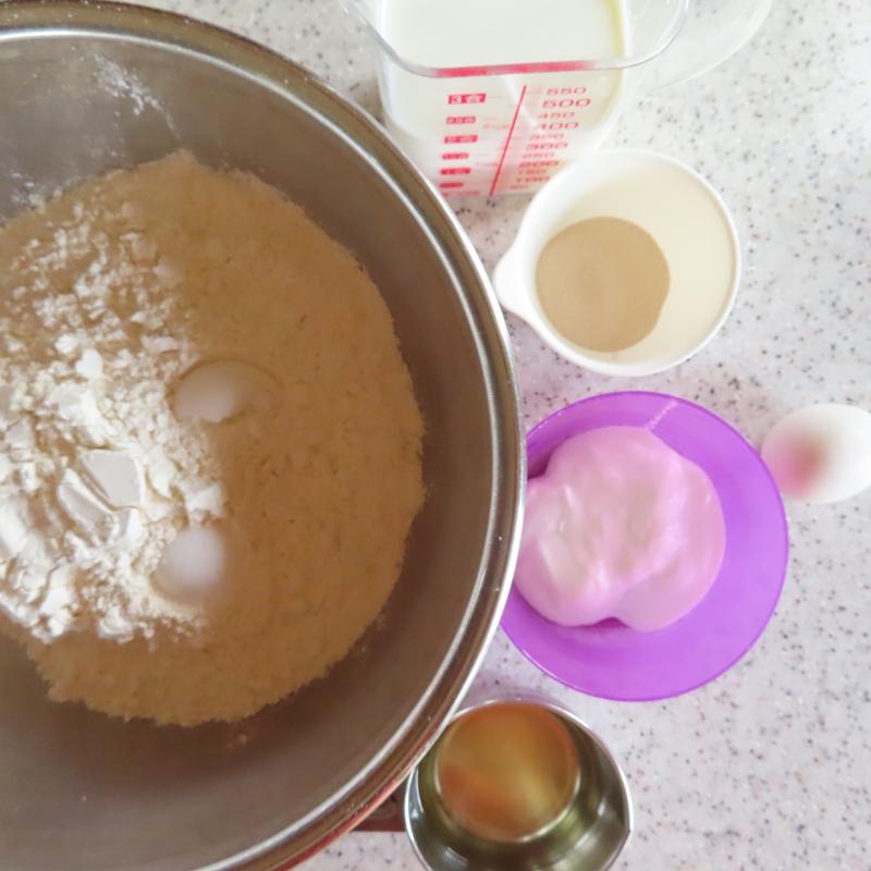 f:id:ladybug-noriko:20211211221628j:plain