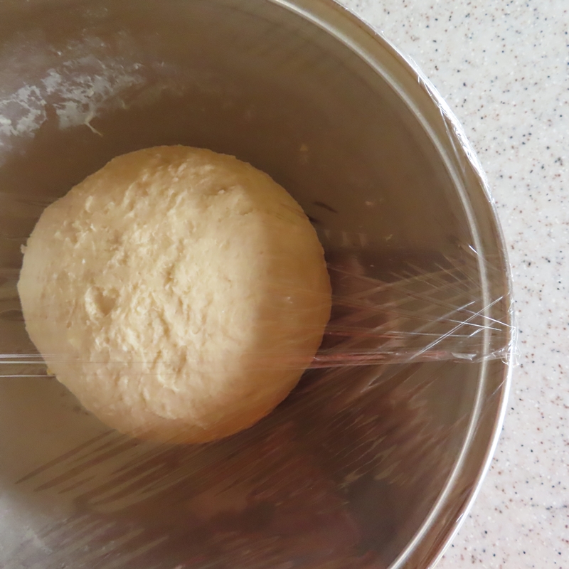 f:id:ladybug-noriko:20211211221645j:plain