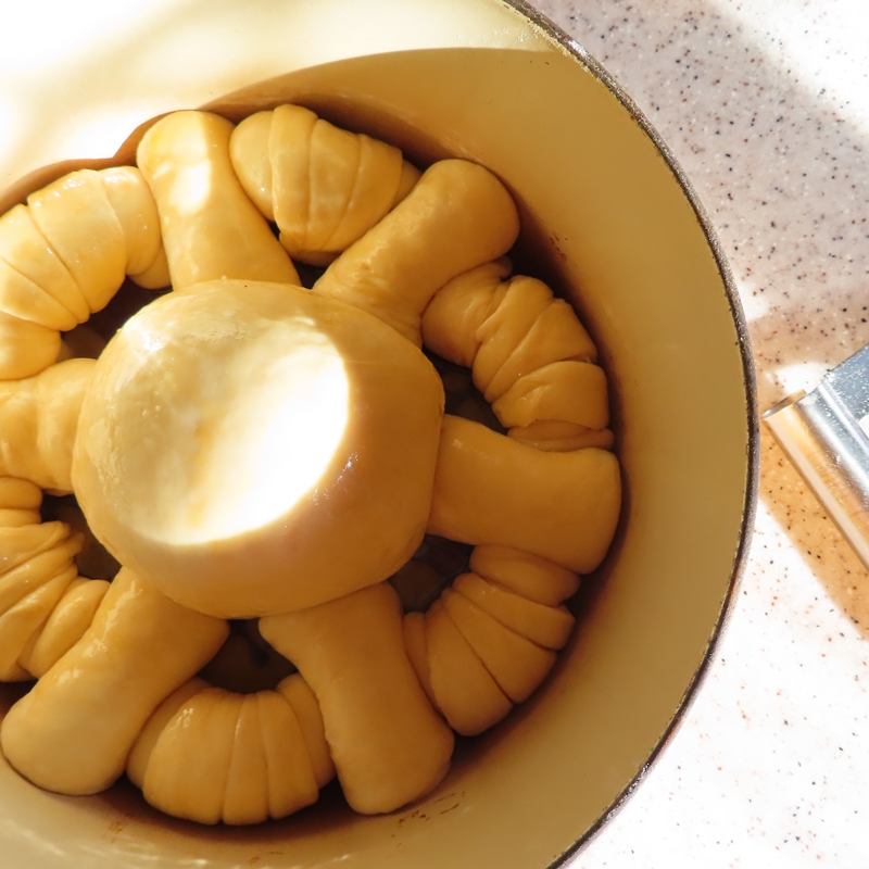 f:id:ladybug-noriko:20211211222049j:plain