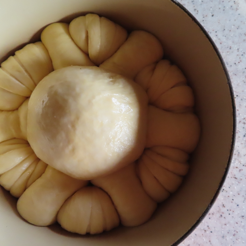 f:id:ladybug-noriko:20211211222105j:plain