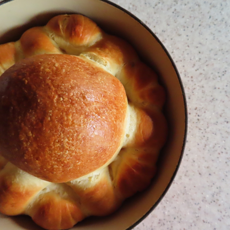 f:id:ladybug-noriko:20211211222147j:plain