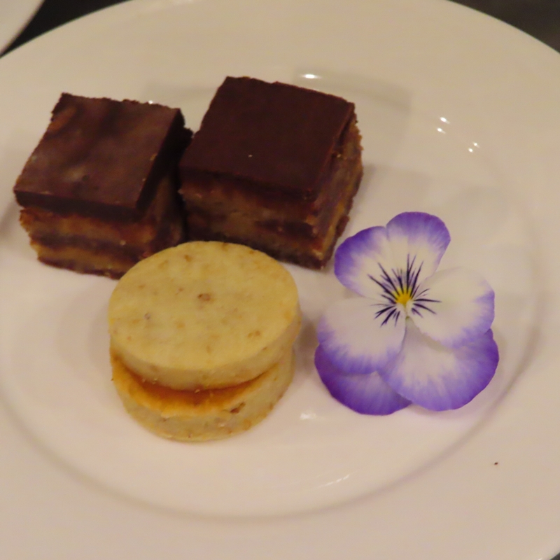 f:id:ladybug-noriko:20211211223632j:plain