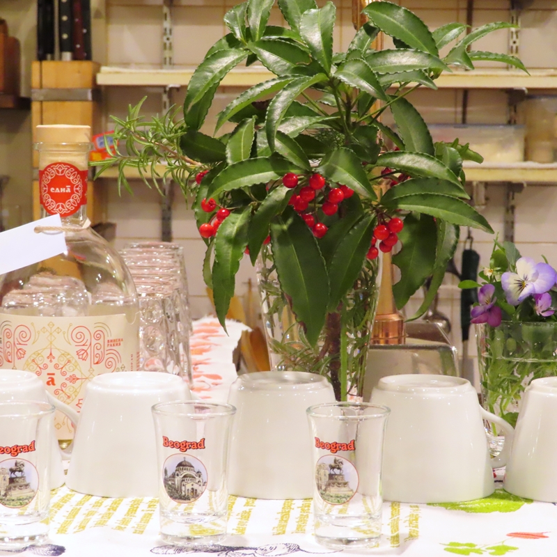 f:id:ladybug-noriko:20211218223747j:plain