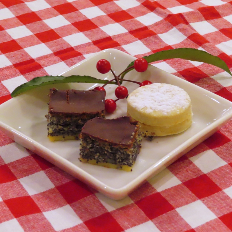 f:id:ladybug-noriko:20211218230240j:plain