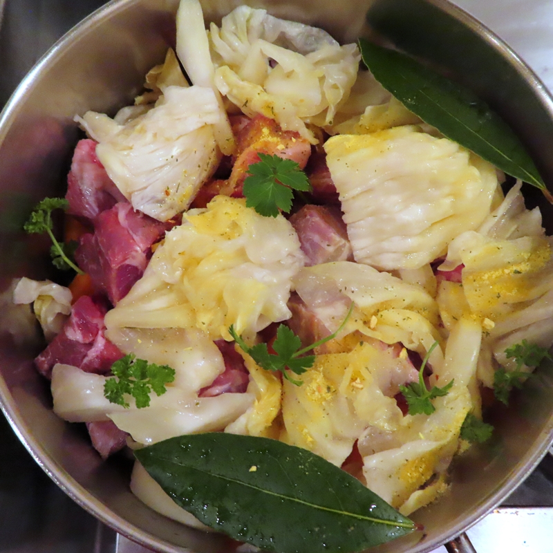 f:id:ladybug-noriko:20220130115717j:plain