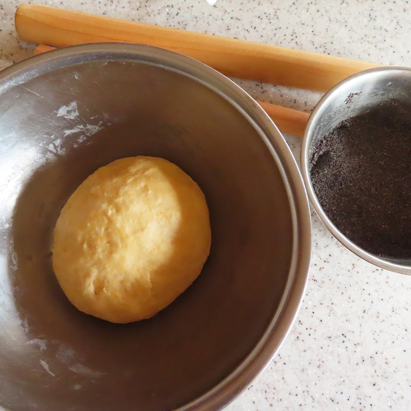 f:id:ladybug-noriko:20220130115825j:plain