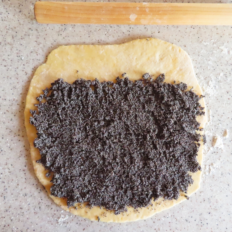 f:id:ladybug-noriko:20220130115906j:plain