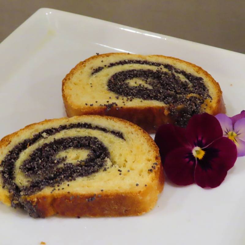 f:id:ladybug-noriko:20220130180550j:plain