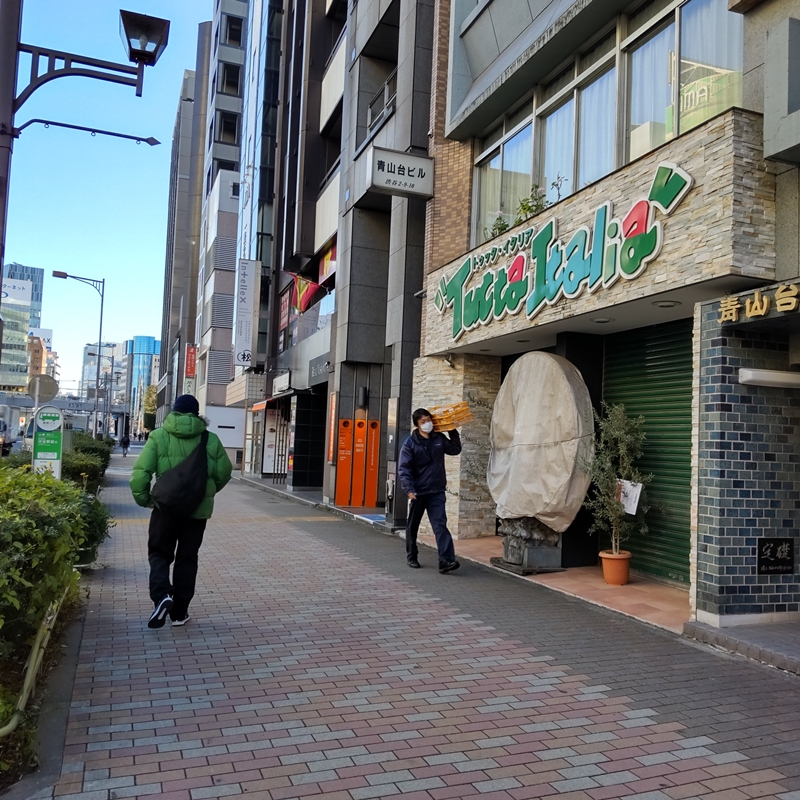 f:id:ladybug-noriko:20220212165649j:plain