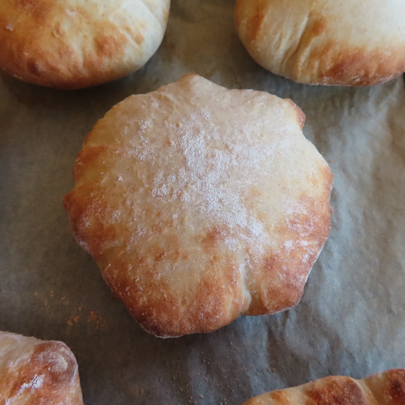 f:id:ladybug-noriko:20220227184740j:plain