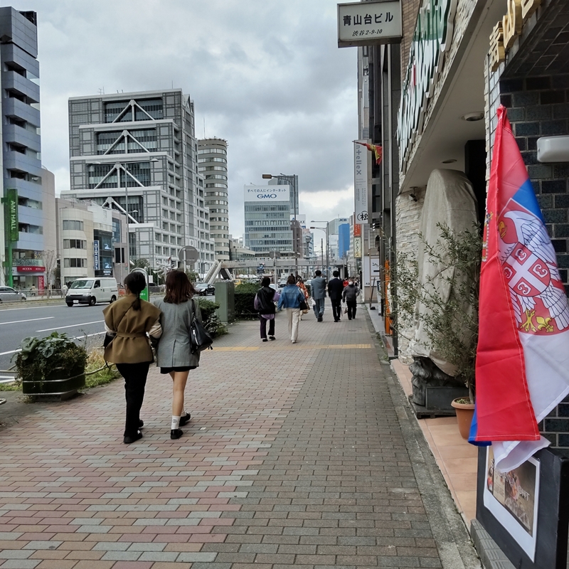 f:id:ladybug-noriko:20220327174510j:plain