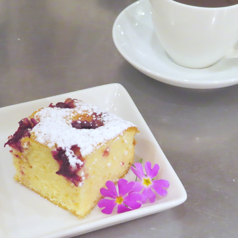 f:id:ladybug-noriko:20220410183059j:plain