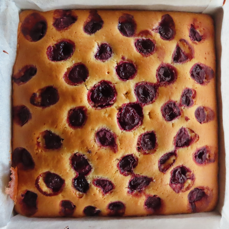 f:id:ladybug-noriko:20220410183315j:plain