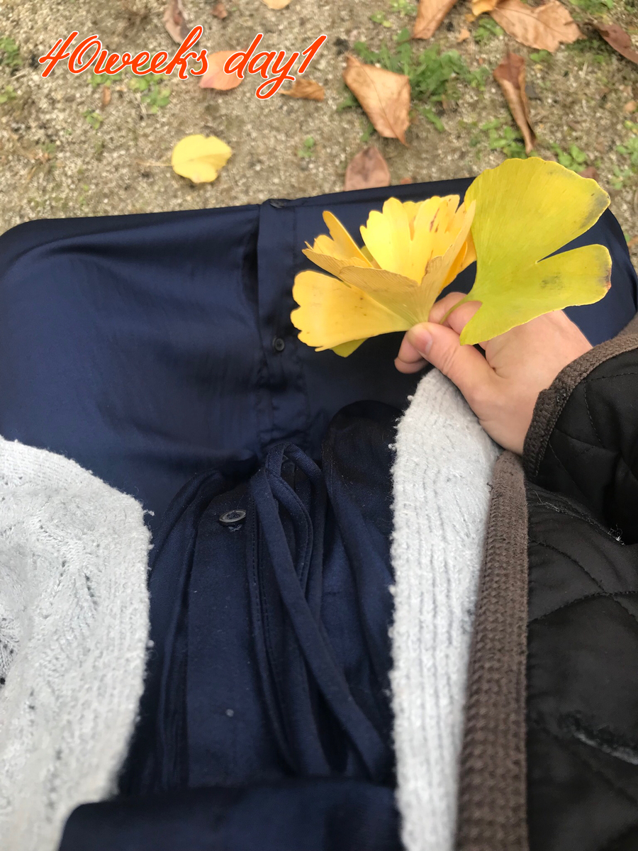 f:id:lafeve:20191124141056j:plain