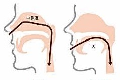 f:id:lagba:20190622130940j:plain