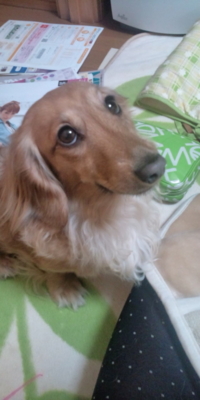 f:id:lagrangian-point:20100501115101j:image