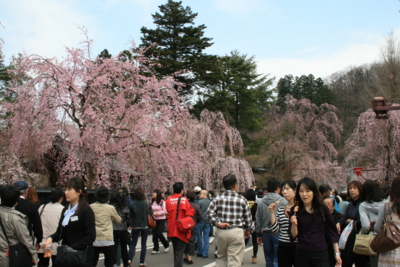 f:id:lagrangian-point:20100502122907j:image