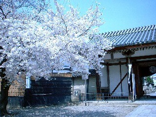 f:id:laidback:20070409001503j:image
