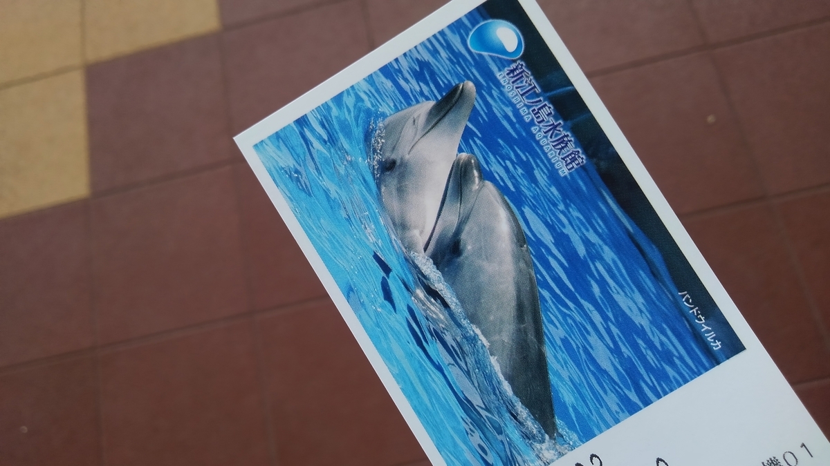 今年の夏も海の生き物に会いに行く 新江ノ島水族館でイルカショー見に行ってきた Lain Blog