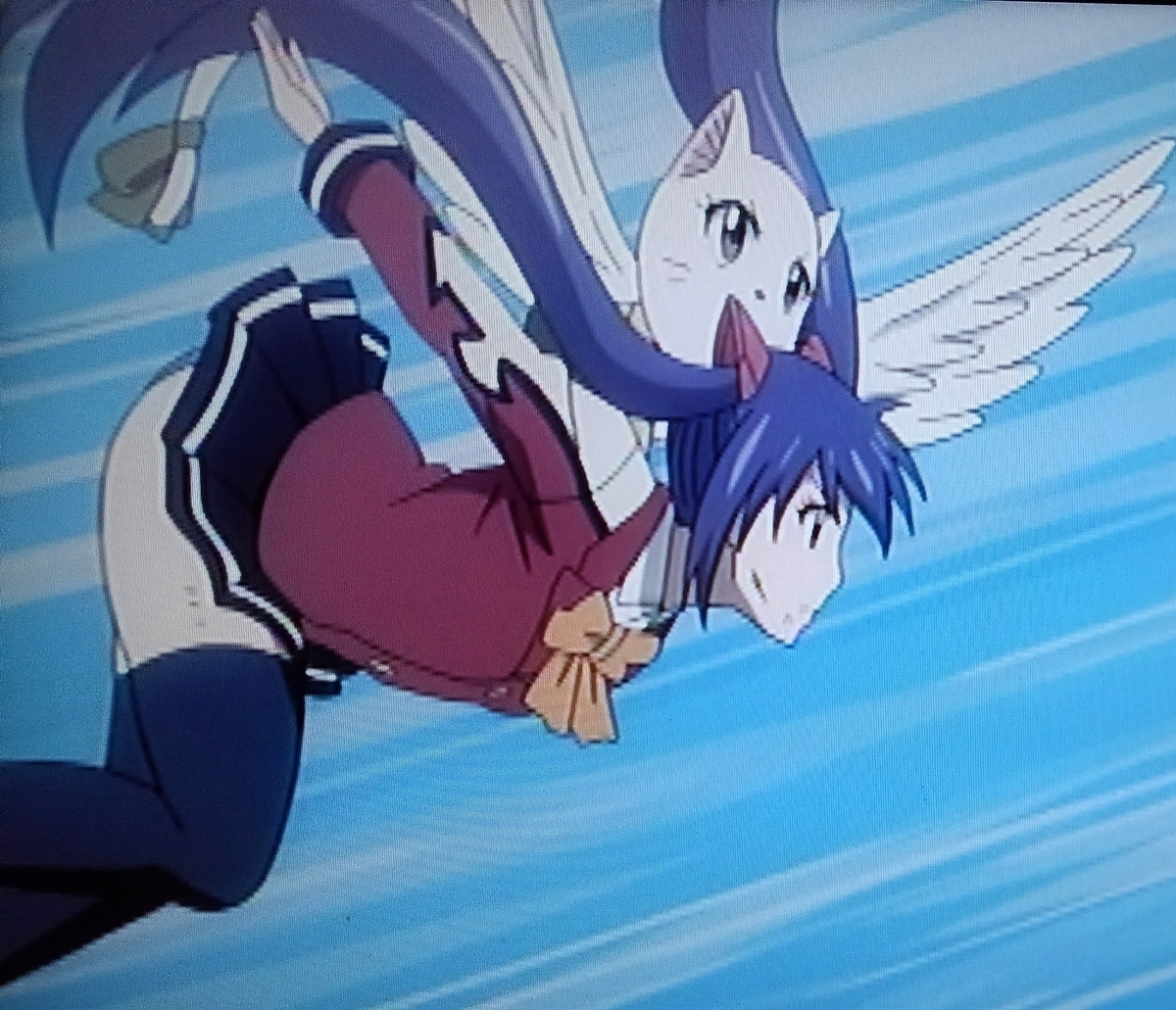 金銀キャンペーン フェアリーテイル FAIRYTALE ウェンディ スリーブ