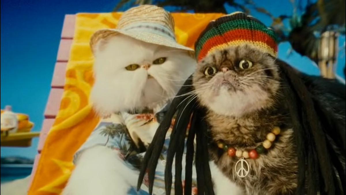 キャッツアンドドッグス2 お気に入りの動物映画紹介 Lain Blog キャッツアンドドッグス2 お気に入りの動物映画紹介 Lain Blog
