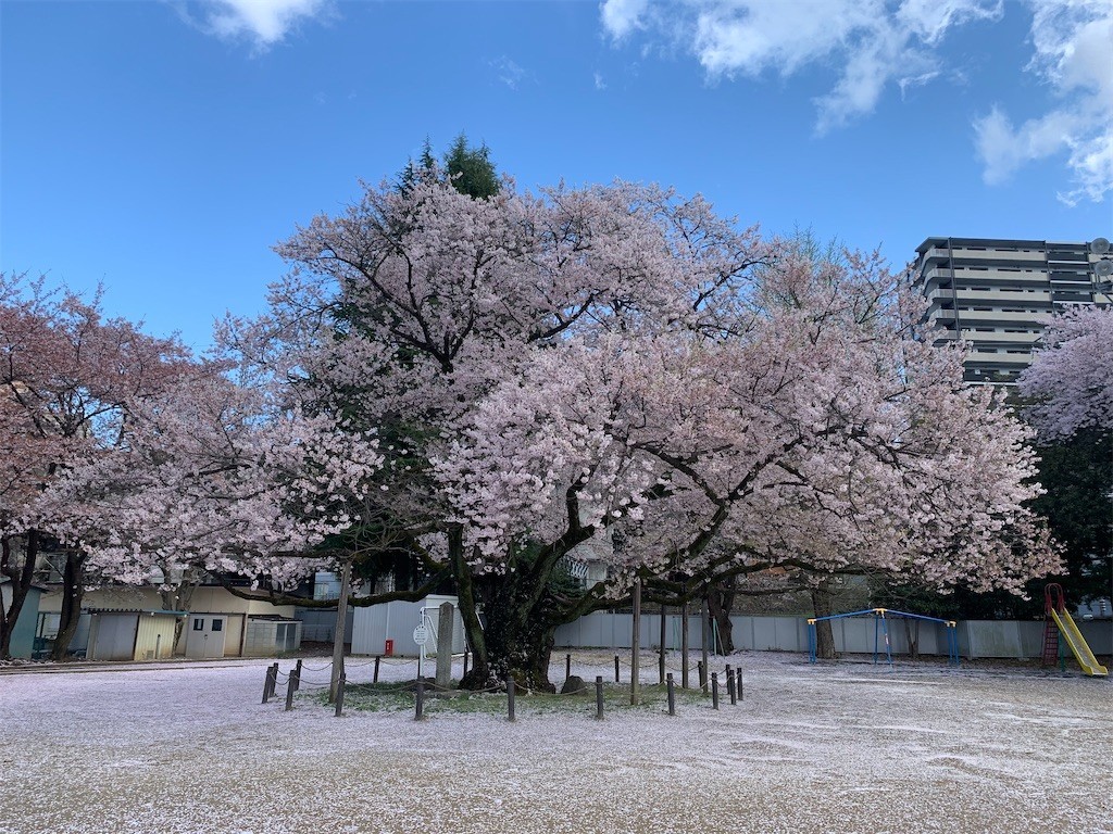 f:id:lajolla-samurai:20220423225510j:image f:id:lajolla-samurai:20220423225510j:image
