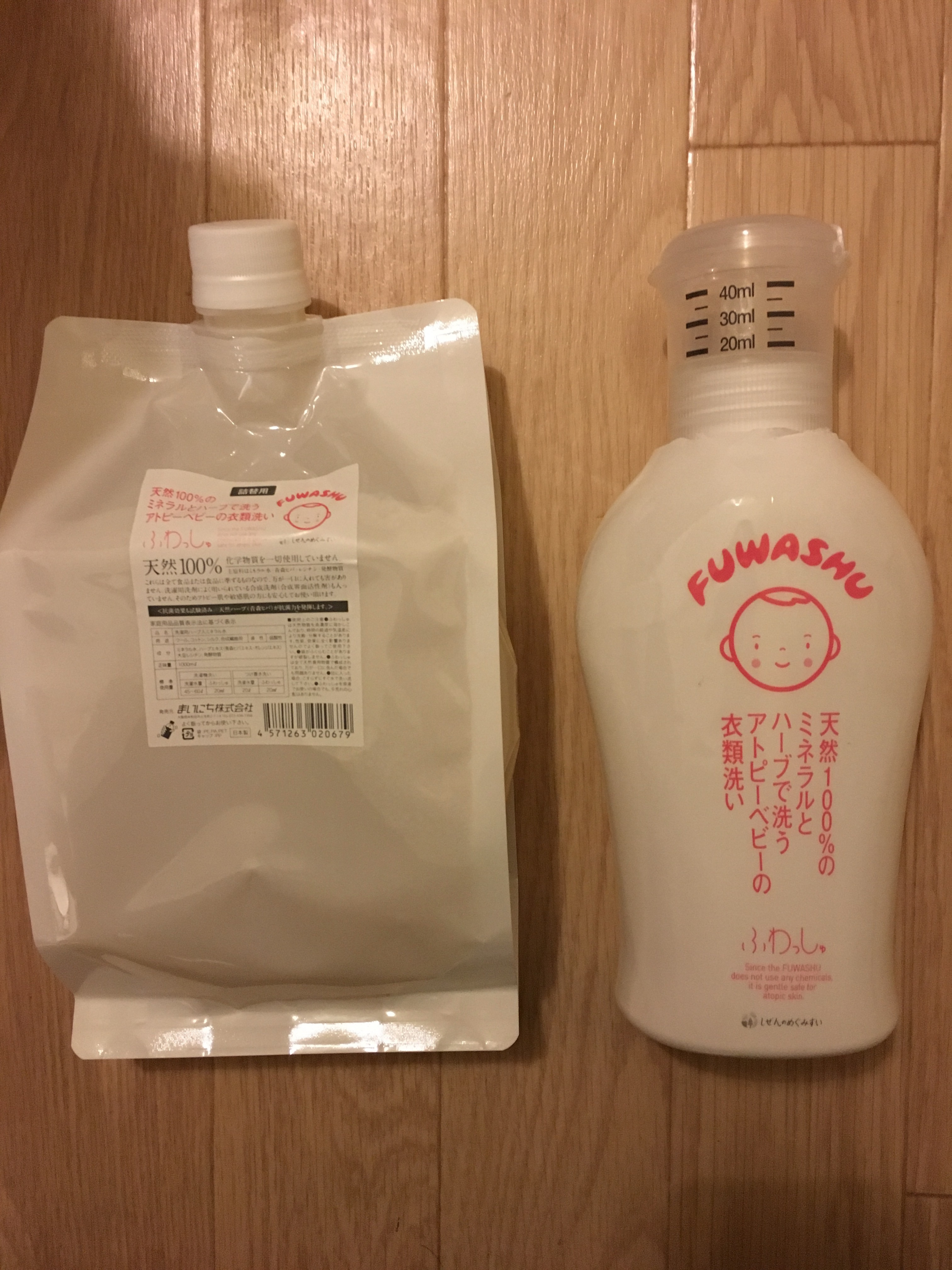 f:id:lakshmi-abiko:20170314195848j:image
