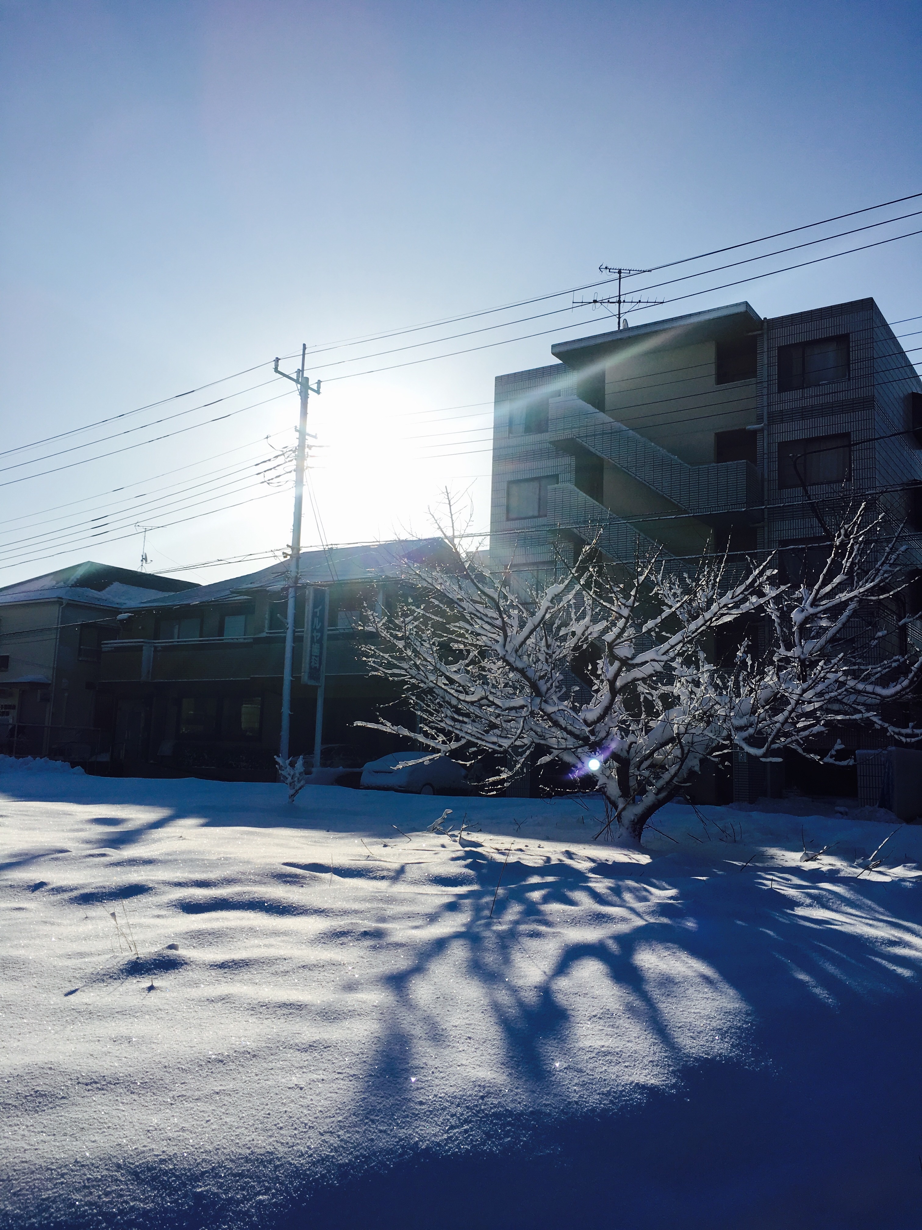 f:id:lakshmi-abiko:20180124010338j:image f:id:lakshmi-abiko:20180124010338j:image