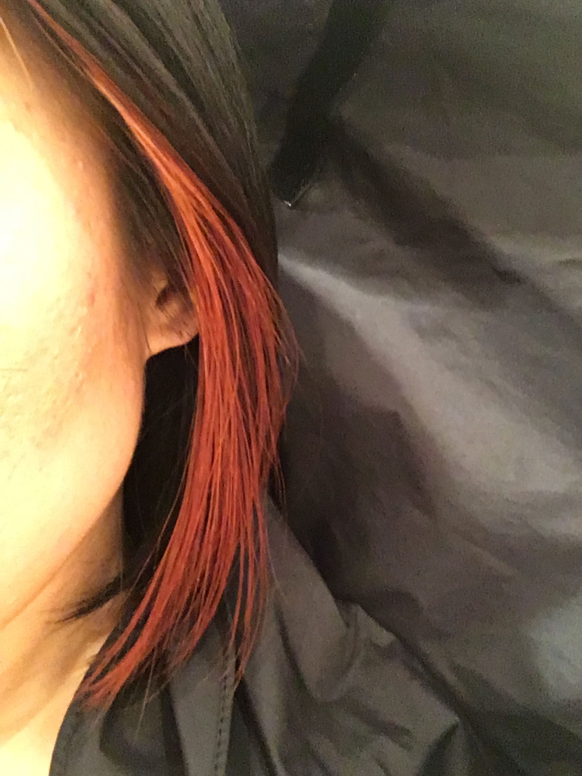 f:id:lakshmi-abiko:20180126164338j:image f:id:lakshmi-abiko:20180126164338j:image