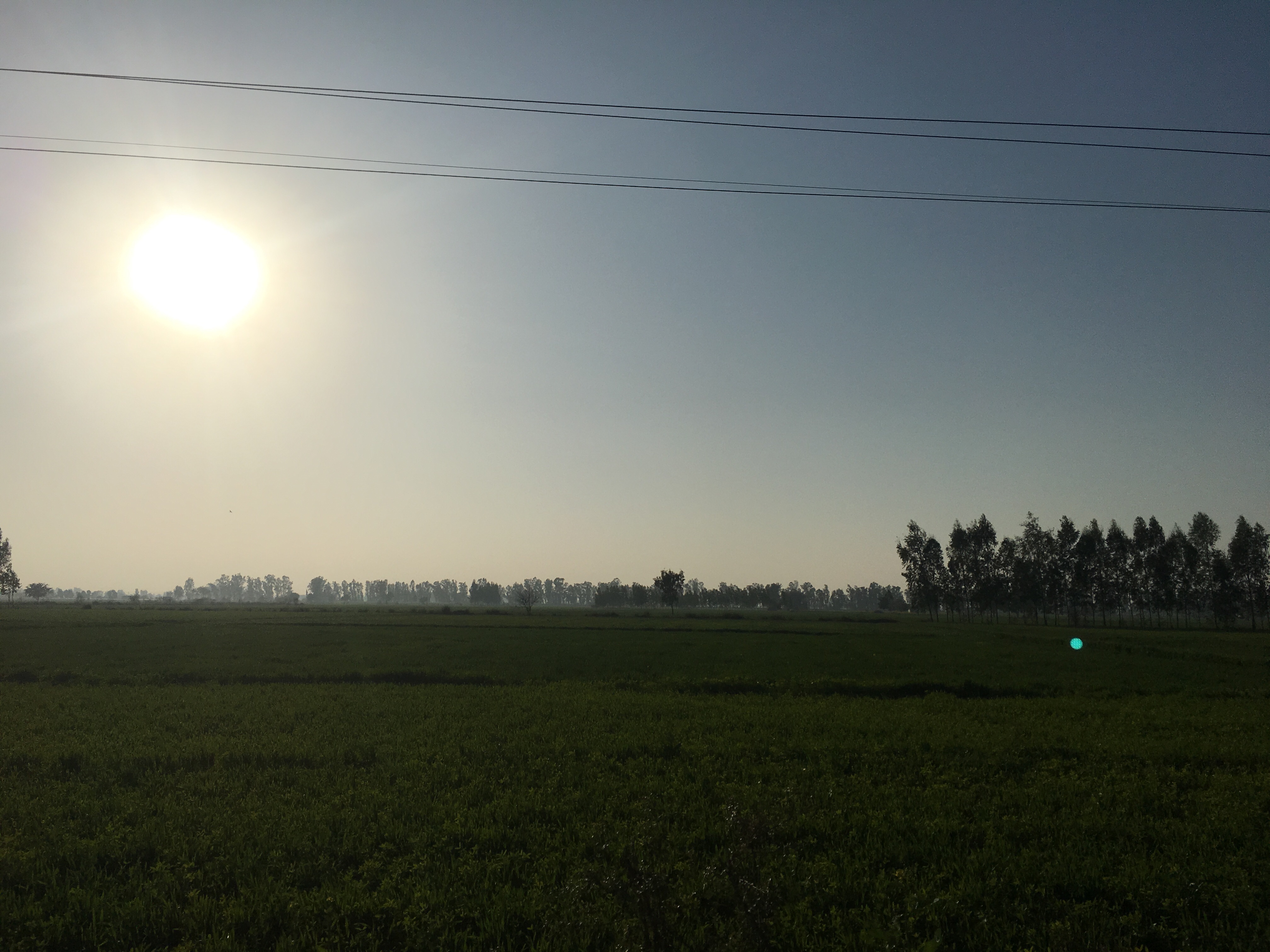 f:id:lakshmi-abiko:20180416163237j:image f:id:lakshmi-abiko:20180416163237j:image