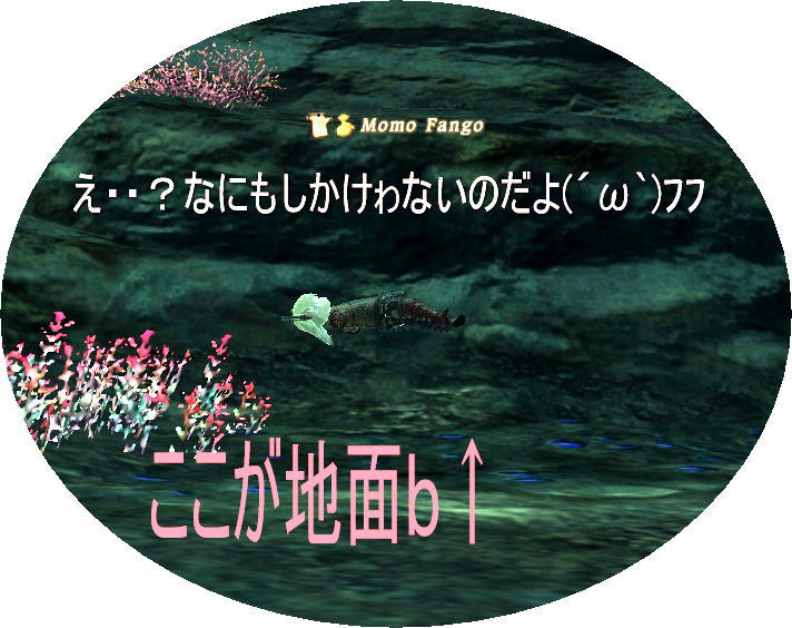 f:id:lalafesta:20101219165655j:image